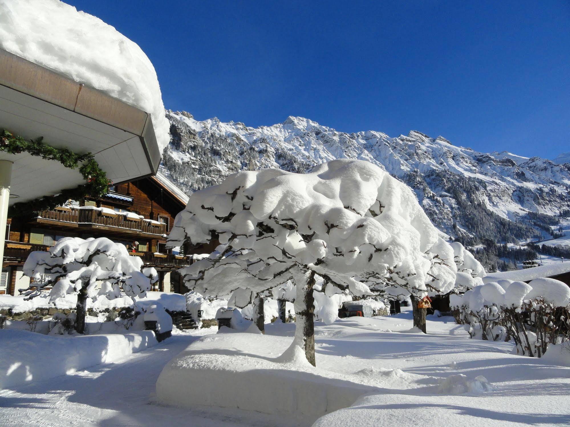 Hotel Alpenruhe - Vintage Design Hotel Wengen Exterior foto